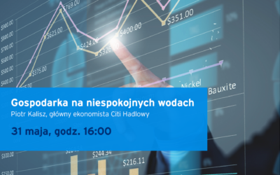 “Gospodarka na niespokojnych wodach” – bezpłatny webinar